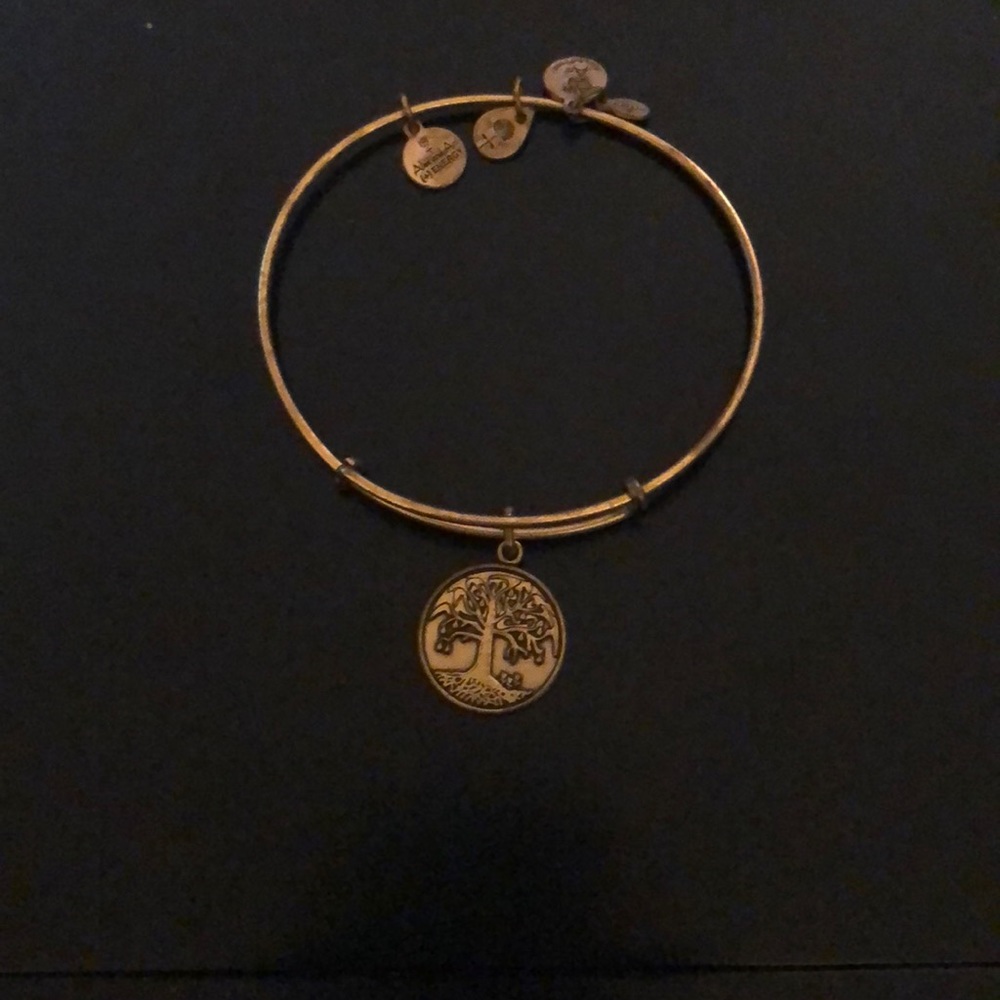 Alex & Ani bracelet